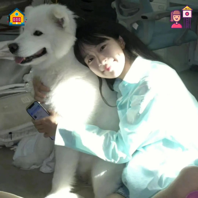 网友阿峰